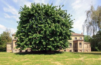 Herrenhaus/Gutshaus kaufen Strzyżno, Pałac w Strzyżnie, Westpommern, Vorderansicht