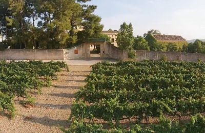 Schloss kaufen Santa Oliva, Katalonien, Foto 6/19