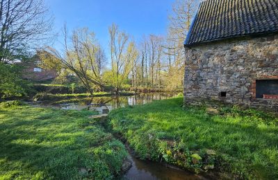 Schloss kaufen Astenet, Wallonien, Weiher mit Insel ( ideal für Hochzeitzermonien)