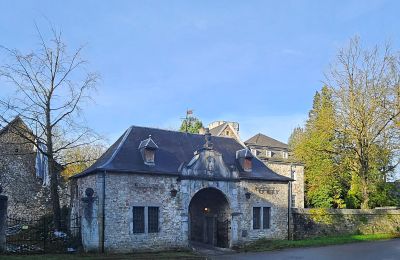 Schloss kaufen Astenet, Wallonien, Foto 2/27