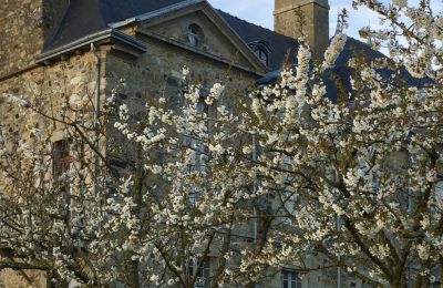 Herrenhaus/Gutshaus kaufen Pléneuf-Val-André, Le Tertre Rogon, Bretagne, Foto 23/26