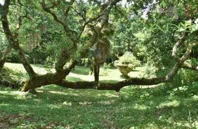 Historische Villa kaufen Bussac-sur-Charente, Neu-Aquitanien, Foto 23/33