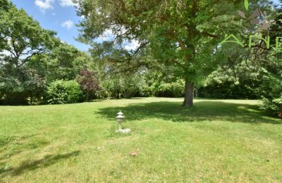 Historische Villa kaufen Bussac-sur-Charente, Neu-Aquitanien, Foto 26/33