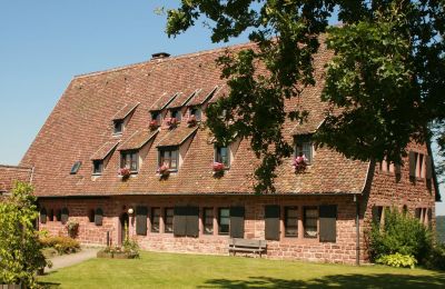 Burg kaufen 67330 Dossenheim-sur-Zinsel, HUNEBOURG, Grand Est, Foto 5/12
