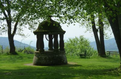 Burg kaufen 67330 Dossenheim-sur-Zinsel, HUNEBOURG, Grand Est, Foto 8/12