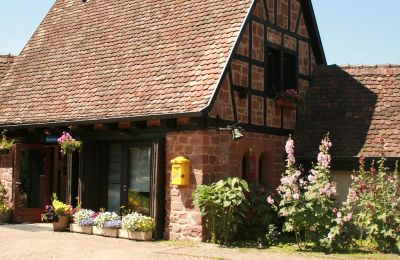Burg kaufen 67330 Dossenheim-sur-Zinsel, HUNEBOURG, Grand Est, Foto 9/12
