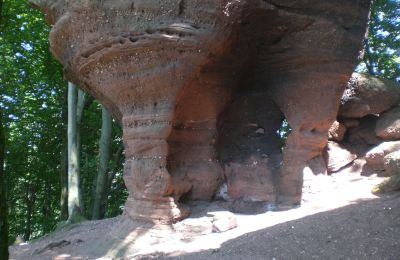 Burg kaufen 67330 Dossenheim-sur-Zinsel, HUNEBOURG, Grand Est, Foto 10/12