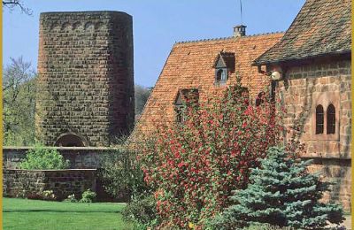 Burg kaufen 67330 Dossenheim-sur-Zinsel, HUNEBOURG, Grand Est, Foto 11/12