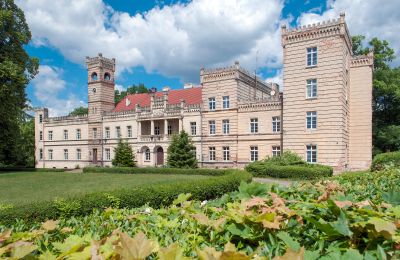 Schloss Gościeszyn, Großpolen