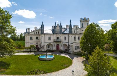 Schloss kaufen Patrykozy, Masowien, Pałac w Patrykozach 2025