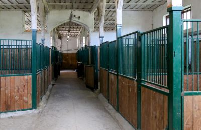 Historische Immobilie kaufen Žagariškiai, Bezirk Schaulen, Pferdeboxen