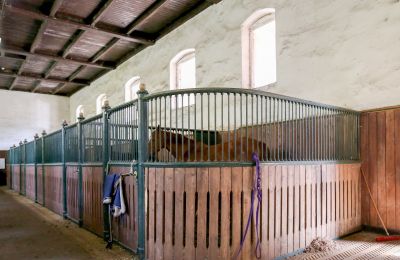Historische Immobilie kaufen Žagariškiai, Bezirk Schaulen, Pferdeboxen