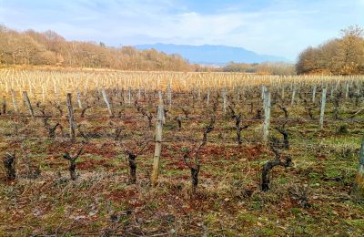 Schloss kaufen Italien, Foto 19/25