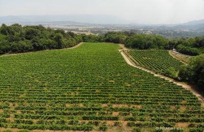 Schloss kaufen Italien, Foto 21/21
