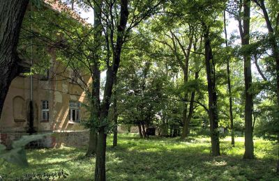 Herrenhaus/Gutshaus kaufen Udanin, Główna, Niederschlesien, Park