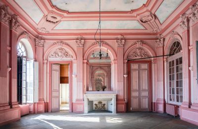 Schloss kaufen Loches, Zentrum-Loiretal, Ballsaal