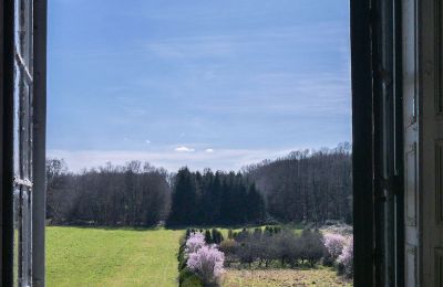 Schloss kaufen Loches, Zentrum-Loiretal, Aussicht
