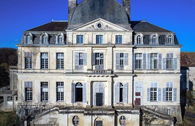 Schloss kaufen Loches, Zentrum-Loiretal, Vorderansicht