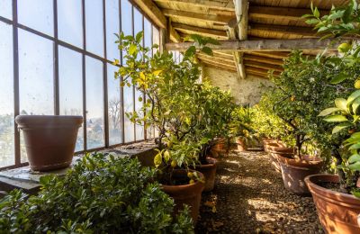 Historische Villa kaufen Longone al Segrino, Lombardei, Orangerie