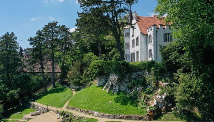 Historische Villa kaufen Biel/Bienne, Bern,  Schweiz