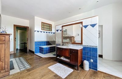 Herrenhaus/Gutshaus kaufen Tournay, Okzitanien, Foto 19/25
