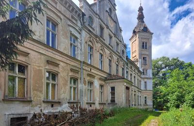 Schloss kaufen Jędrzychów, Pałac w Jędrzychowie, Niederschlesien,, Vorderansicht