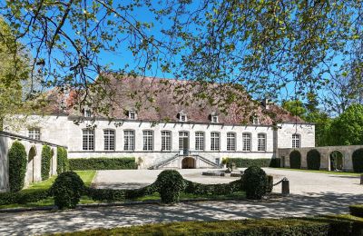 Herrenhaus/Gutshaus kaufen Chaumont, Grand Est, Garten