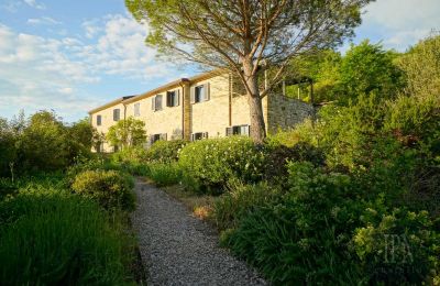Landhaus kaufen 06014 Montone, Umbrien, Foto 10/50