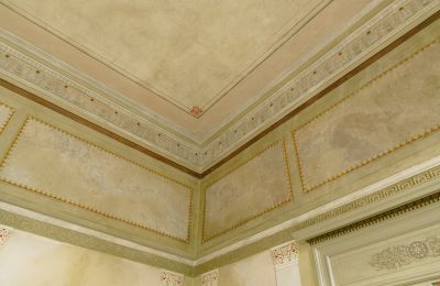 Herrenhaus/Gutshaus kaufen 23881 Niendorf / Stecknitz, Schleswig-Holstein, Details