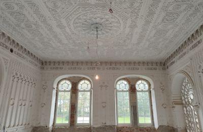 Schloss kaufen Osiek, Pałac w Osieku, Kleinpolen, Foto 9/38