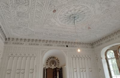 Schloss kaufen Osiek, Pałac w Osieku, Kleinpolen, Foto 10/38