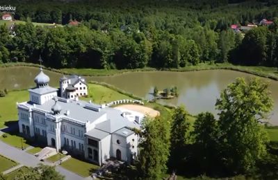 Schloss kaufen Osiek, Pałac w Osieku, Kleinpolen, Foto 38/38