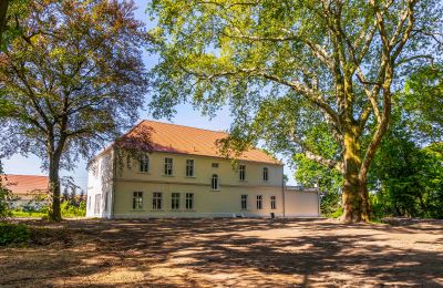 Schloss kaufen Środa Śląska, Pałac w Wojczycach, Niederschlesien, Foto 4/23