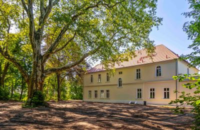 Schloss kaufen Środa Śląska, Pałac w Wojczycach, Niederschlesien, Foto 5/23