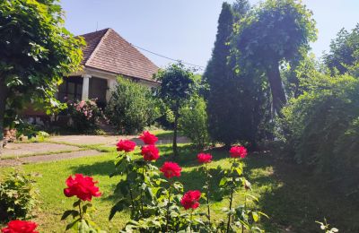 Herrenhaus/Gutshaus kaufen Trnavský kraj, okres Hlohovec, Koplotovce, Frídeský kaštieľ, Region Trnava, Vedlajšia kúria