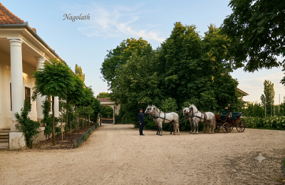Herrenhaus kaufen Koplotovce,  kaštieľ, Region Trnava, upravení dobová foto