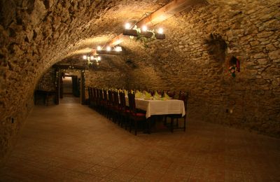 Herrenhaus/Gutshaus kaufen Trnavský kraj, okres Hlohovec, Koplotovce, Frídeský kaštieľ, Region Trnava, Pivnica