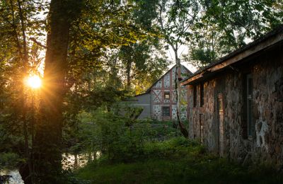 Herrenhaus/Gutshaus kaufen Virķēni, Virķēnu muiža, Livland, Foto 16/22