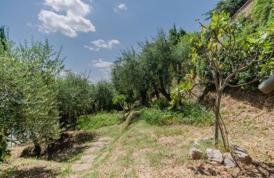 Historische Villa kaufen Montecalvoli, Toskana, Foto 37/44