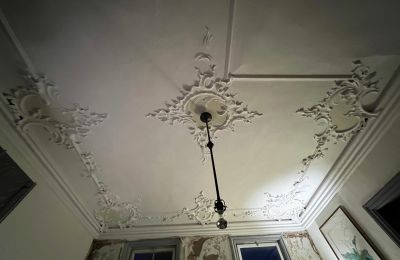 Schloss kaufen Baden-Württemberg, Foto 33/38