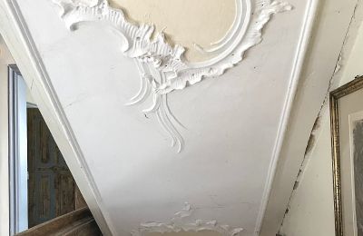 Schloss kaufen Baden-Württemberg, Foto 9/26