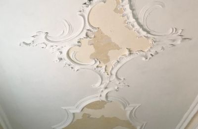 Schloss kaufen Baden-Württemberg, Foto 17/26