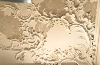 Schloss kaufen Baden-Württemberg, Foto 4/26