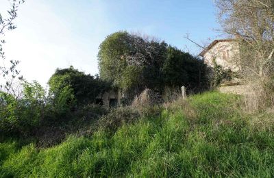 Landhaus kaufen Perugia, Umbrien, Foto 13/15