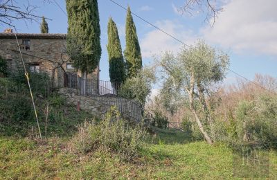 Landhaus kaufen Cortona, Toskana, Foto 14/35
