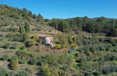 Landhaus kaufen 06010 Monte Santa Maria Tiberina, Umbrien, Foto 3/28