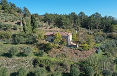 Landhaus kaufen 06010 Monte Santa Maria Tiberina, Umbrien, Foto 4/28
