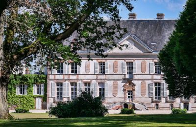 Schloss kaufen Sens, Burgund-Franche-Comté, Vorderansicht