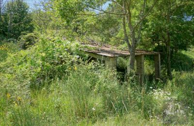 Landhaus kaufen Perugia, Umbrien, Foto 13/23