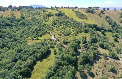 Landhaus kaufen Perugia, Umbrien, Foto 6/23